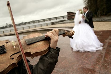 <b>להפתיע את האורחים (צילום: shutterstock)</b>