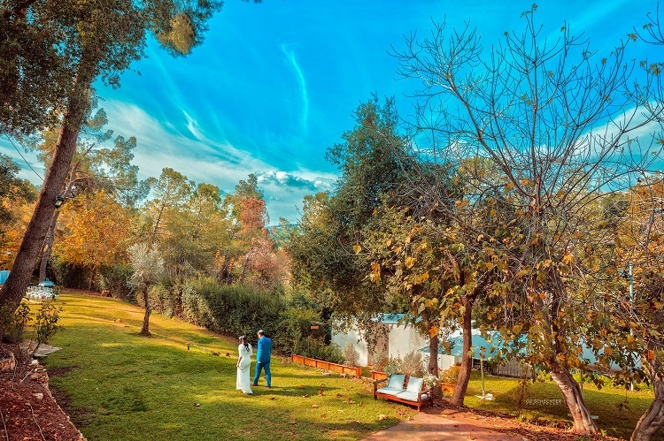 הזרקור: עין חמד 1